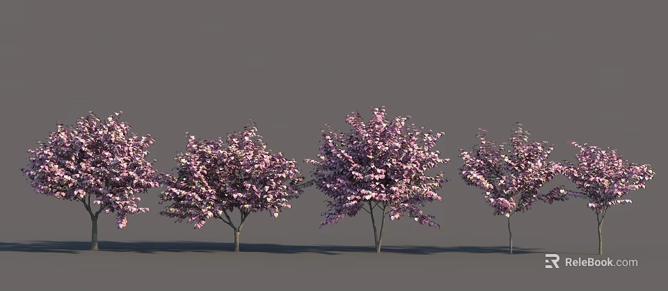 Beautiful Flowering Arbor Trees With Pink Blossoms And Slender Trunks For Garden Landscaping 3d model 