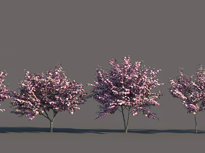 Beautiful Flowering Arbor Trees With Pink Blossoms And Slender Trunks For Garden Landscaping 3d model