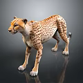 Realistic Cheetah 3D Model With Spotted Fur Standing On Black Reflective Surface 3d model