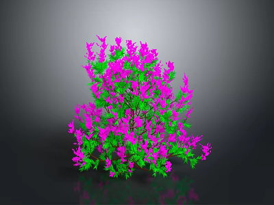 Lush Plant with Purple Flowers and Green Leaves Against Dark Background 3d model