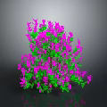 Lush Plant with Purple Flowers and Green Leaves Against Dark Background