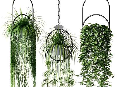 Hanging Potted Green Plants With Lush Foliage And Black Metal Ring Holders Decor 3d model
