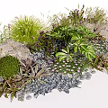 Flowers and Plants in Natural Garden Landscape with Mixed Greenery Rocks and Gravel
