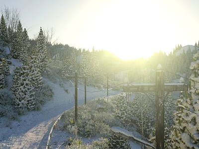 Scenic Winter Landscape with Snow Covered Trees Sunlit Path and Telephone Poles in Mountain Area 3d model