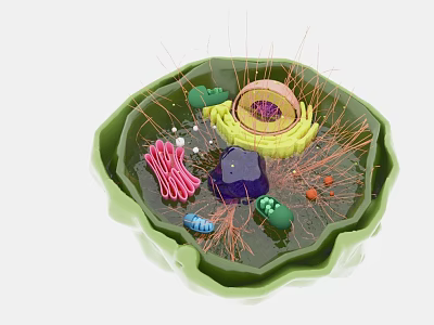 modern plant cell 3d model modern plant cell 3d model