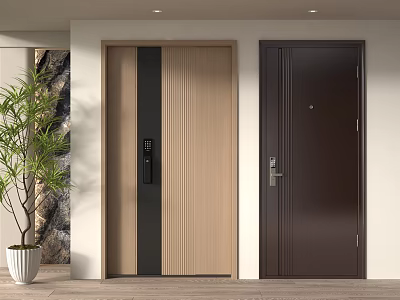 Modern Security Doors With Panel Design And Potted Plant In Interior 3d model