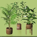 Various Indoor Potted Plants in Terracotta Pots and One on Wooden Stool Green Background