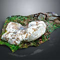 Natural Stone With White Moss Surrounded By Green Grass And Stone Wall