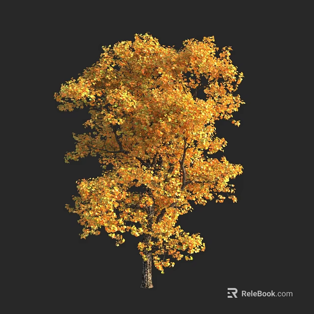 Vibrant Golden Yellow Leaf Arbor With Lush Foliage Against Black Background 3d model 
