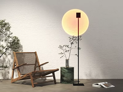 Wooden Wicker Leisure Chair With Moon Shaped Floor Lamp Green Plants Marble Vase And Magazines 3d model