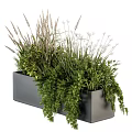 Bonsai Potted Plant in Black Rectangular Container with Various Green Hanging Foliage 3d model