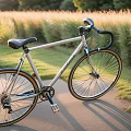 Non-motor vehicle bicycle 3d model
