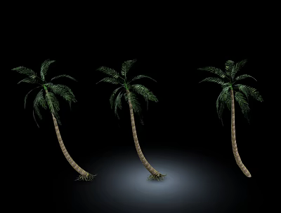 Three Palm Trees With Curved Trunks And Green Fronds Against Black Background 3d model