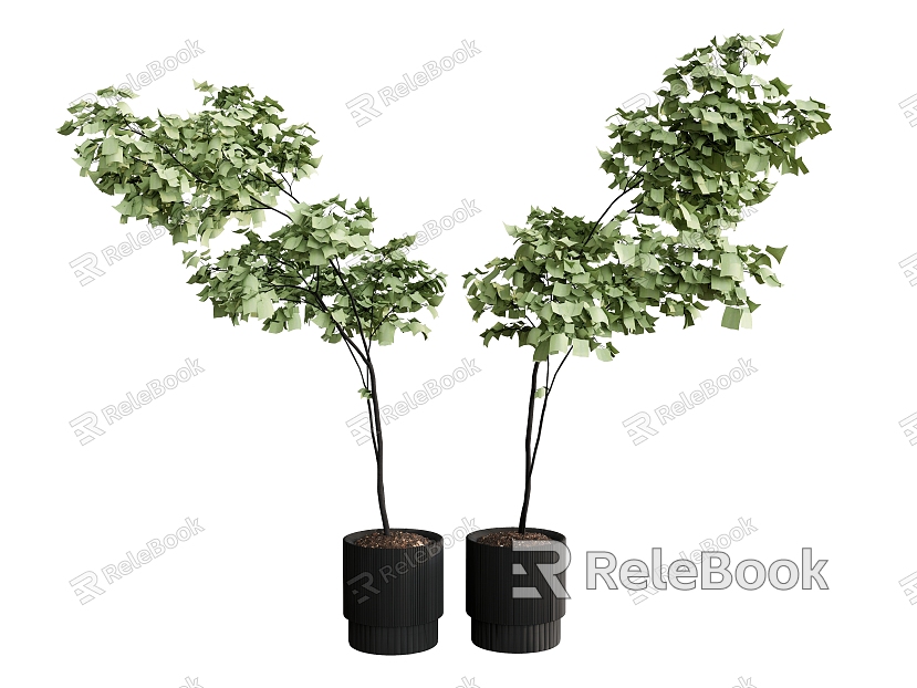 potted plant flowerpot plant green plant tree bonsai model