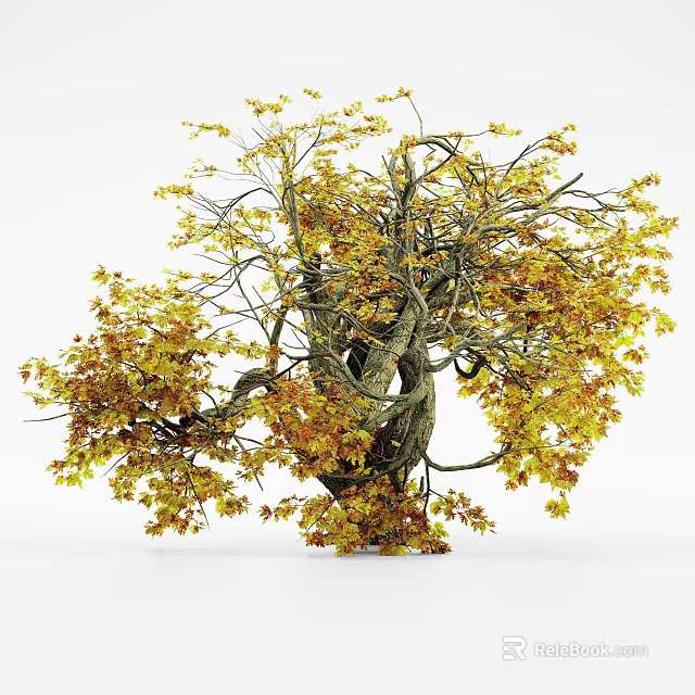 Lush Deciduous Tree with Yellow Orange Autumn Leaves and Thick Twisted Branches 3d model 