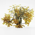 Lush Deciduous Tree with Yellow Orange Autumn Leaves and Thick Twisted Branches