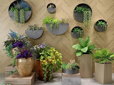 Various Indoor Potted Plants With Wall Mounted Pots And Hanging Green Foliage 3d model