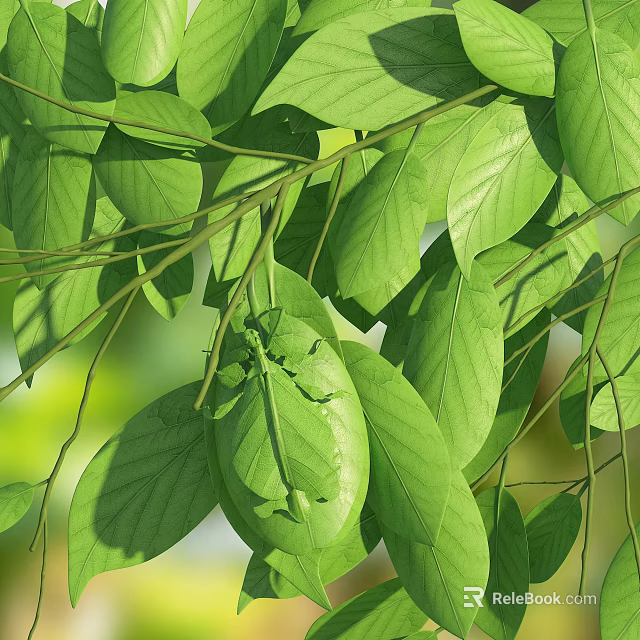 Vibrant Green Leaves In Sunlight With Praying Mantis On Leaf Surface 3d model 