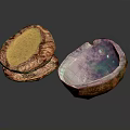 Animal Shells With Brown Purple Texture And Crystal Interior On Black Background 3d model