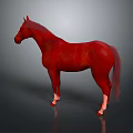 Red Horse Animal Painting in Standing Pose with Gray Gradient Background