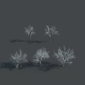 Leafless Trees with Clear Trunks Branches Against Gray Background and Long Shadows on Ground 3d model