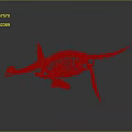 Dinosaur Organ System And Hair Structure In Prehistoric Fossil Model