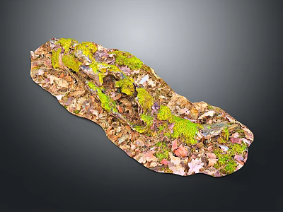 Natural Plant Landscape With Green Moss Fallen Leaves And Small Twigs In Irregular Shape 3d model