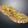 Natural Plant Landscape With Green Moss Fallen Leaves And Small Twigs In Irregular Shape