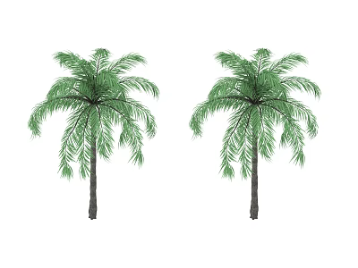 Two Palm Trees With Green Leaves And Brown Trunks On White Background 3d model