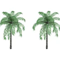 Two Palm Trees With Green Leaves And Brown Trunks On White Background