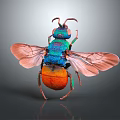 Colorful Insect With Blue Green Orange Body And Transparent Wings On Gray Background