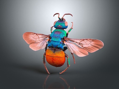 Modern Fly Green Head Fly 3d model