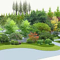 Diverse Arbor Trees Landscape Design With Various Species And Natural Greenery