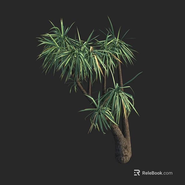 Tall Tree With Lush Green Tufted Leaves And Slender Brown Branches 3d model 