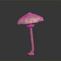 Brown Spotted Mushroom With Slender Stem And Root Like Base Structure