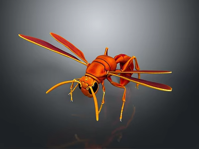 Realistic Orange Wasp 3D Model Featuring Detailed Wings Antennae And Body Features 3d model