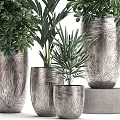 Bonsai Potted Plants in Silver Textured Pots with Green Foliage for Indoor Decoration