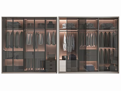 Modern Wardrobe with Glass Doors Hanging Rods Storage Drawers and Shelves 3d model