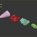 Marine Shellfish With Colorful Pink Orange Purple Shells In Various Shapes On Gray Background