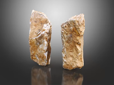 Two Natural Wooden Stone Pieces With Textured Surface And Reflection On Black Background 3d model