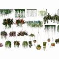 Various Hanging Potted Plants With Green Leaves And Colorful Flowers For Indoor Decoration