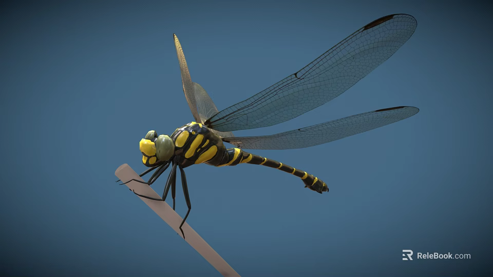 Detailed Yellow And Black Striped Dragonfly Perched On Thin Branch With Blue Background 3d model 
