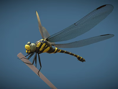 Detailed Yellow And Black Striped Dragonfly Perched On Thin Branch With Blue Background 3d model