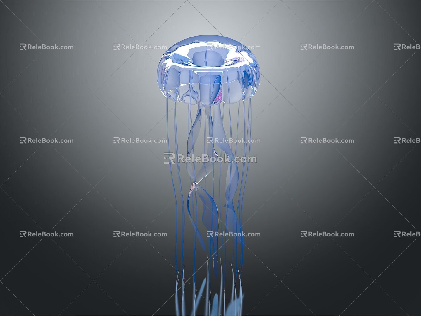 Barrel Jellyfish Fireworks Jellyfish Silver Coin Jellyfish Flower Hat Jellyfish Purple Sea Thorn Jellyfish Mediterranean Omelet Jellyfish 3d model