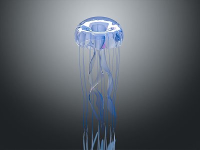 Barrel Jellyfish Fireworks Jellyfish Silver Coin Jellyfish Flower Hat Jellyfish Purple Sea Thorn Jellyfish Mediterranean Omelet Jellyfish model