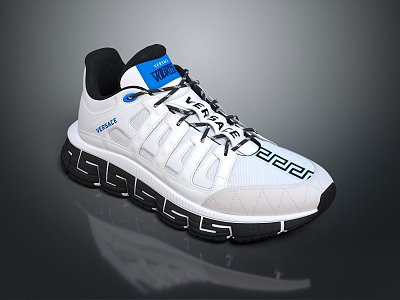 Modern sneaker Hiking Boots Hiking Boots Travel Shoes Climbing Shoes 3d model