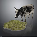 Black and White Spotted Cow Standing on Green Grass with Simple Background