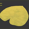 Large Green Plant Leaf With Prominent Veins And Vibrant Fresh Texture
