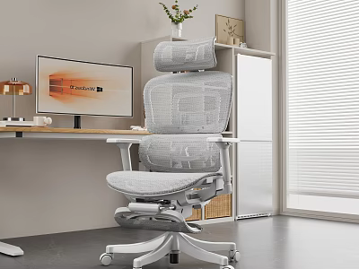 Modern Entertainment Room With Gray Mesh Office Chair Bookshelf Vase Photo Frame And Computer Monitor 3d model