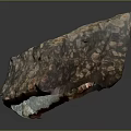 Natural Wood Stone Sample with Colorful Speckled Texture and Irregular Shape